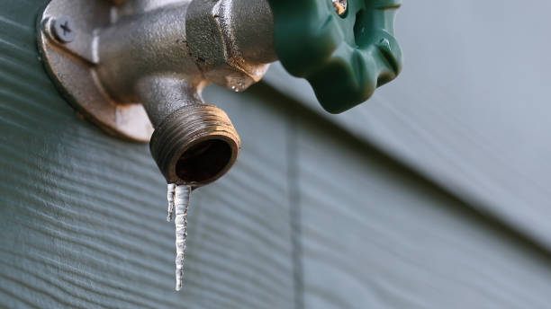 Best Clogged Drain Plumber  in Gifford, FL